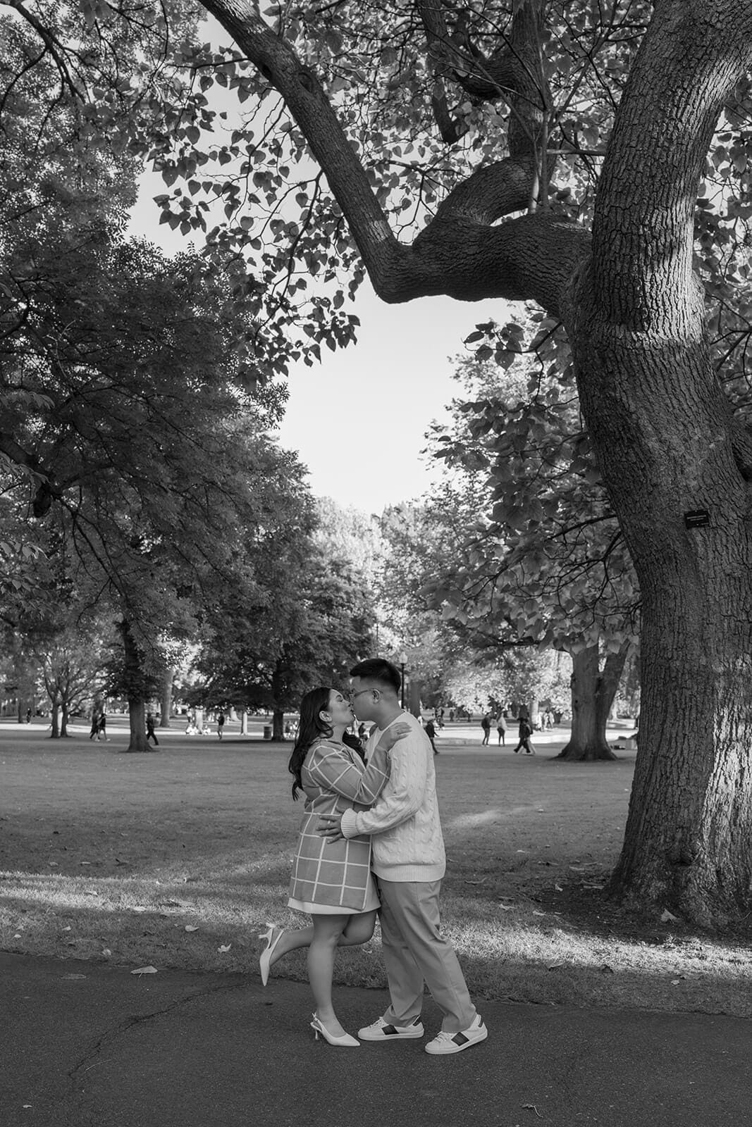 Black-and-white photograph of a couple embracing beneath the trees in Boston Public Garden.